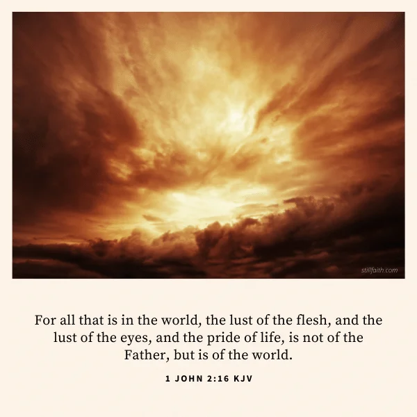 1 John 2:16 KJV Image