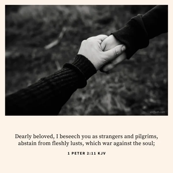 1 Peter 2:11 KJV Image