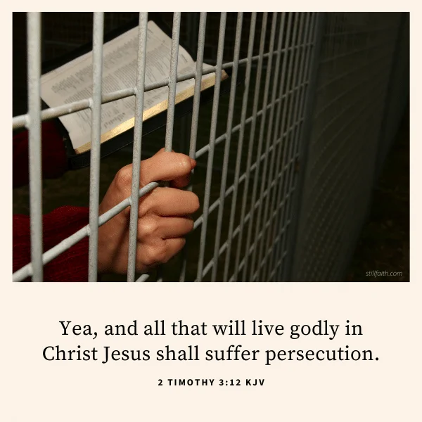 2 Timothy 3:12 KJV Image