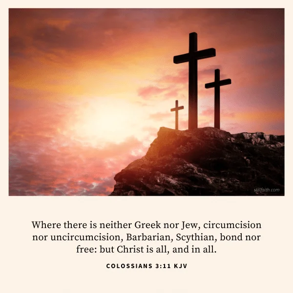 Colossians 3:11 KJV Image