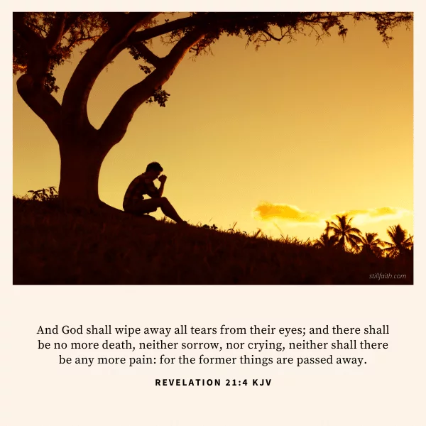 Revelation 21:4 KJV Image