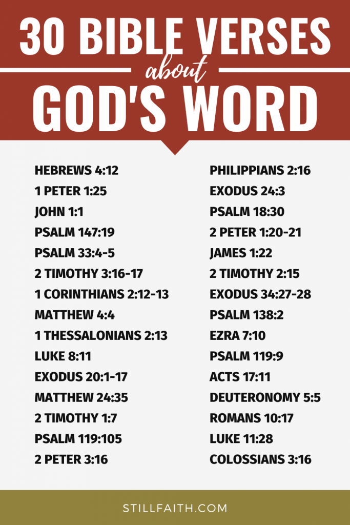 319 Bible Verses about God's Word