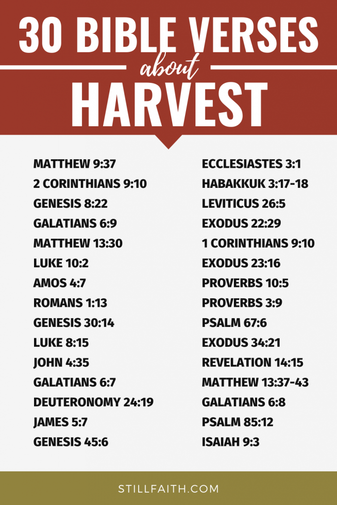 152 Bible Verses about Harvest